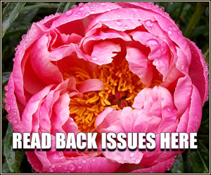 read back issues of the Gardener News here