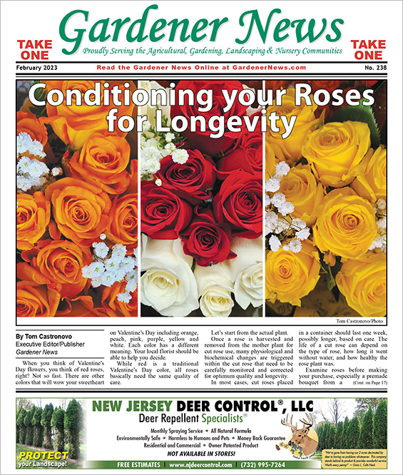 The February 2023 issue of the Gardener News
